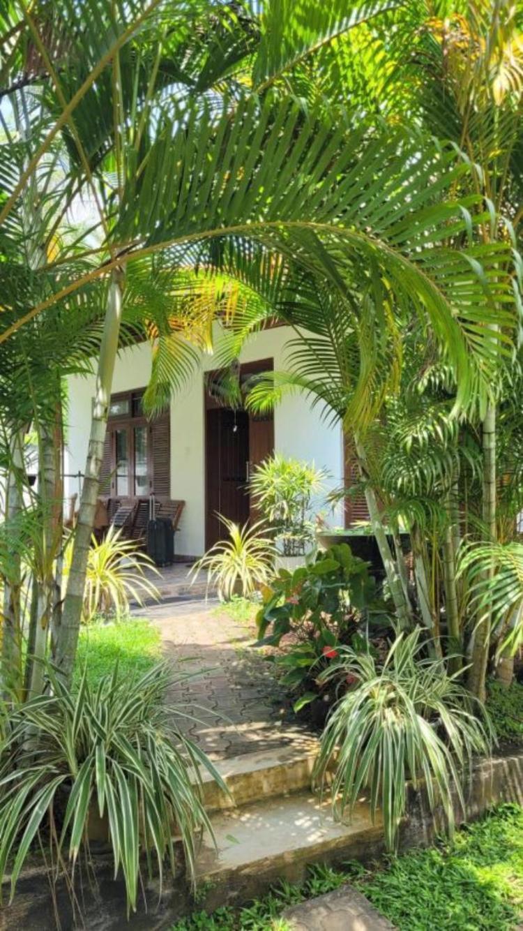 Mirewon Guest Hotel Weligama Ngoại thất bức ảnh