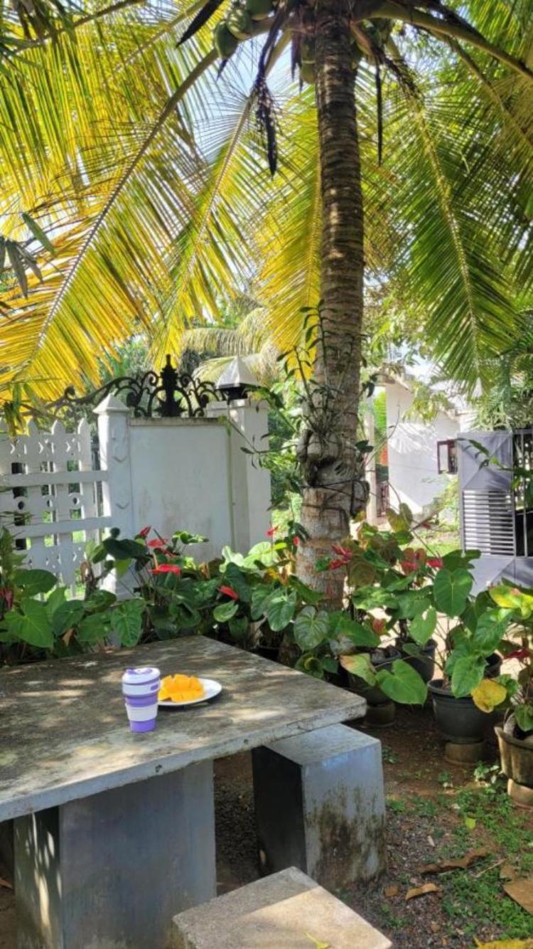 Mirewon Guest Hotel Weligama Ngoại thất bức ảnh